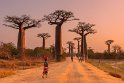 112 Baobab Avenue
